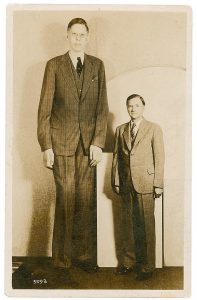 When Does Size Matter? A Story of Giants – The Historian